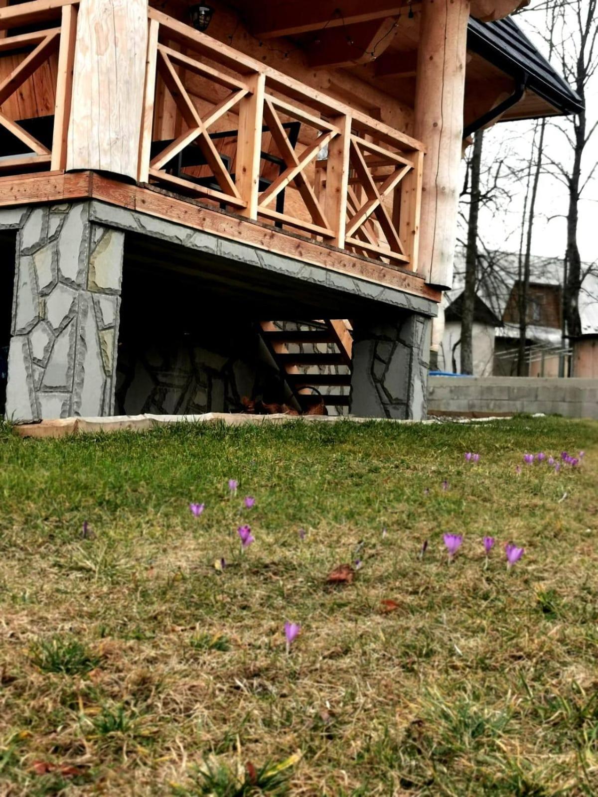 Chalpy Pod Ostryszem Villa Ciche  Exteriör bild